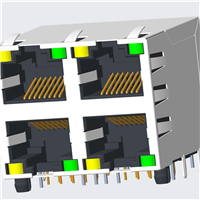 RJ45 5921 ; 2X2 ports ; With LED ; With metal shield（EMI Fingers） . PCB Retaining Post: hollow(Type B）